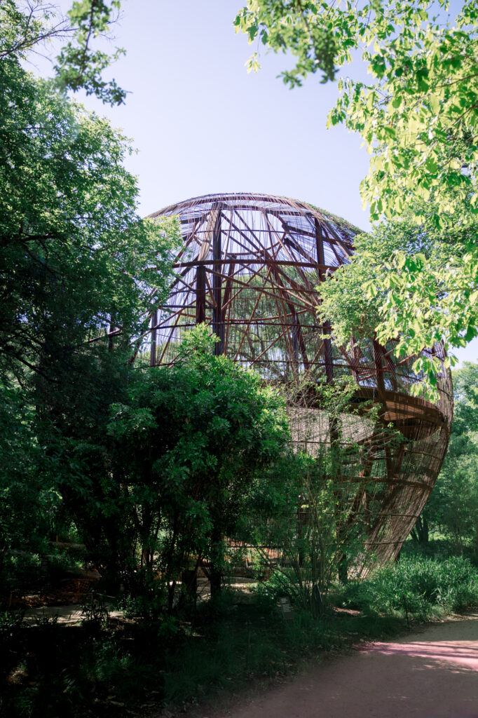 Pease Park Treehouse, a unique location to propose in Austin. 